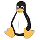 hosting client image