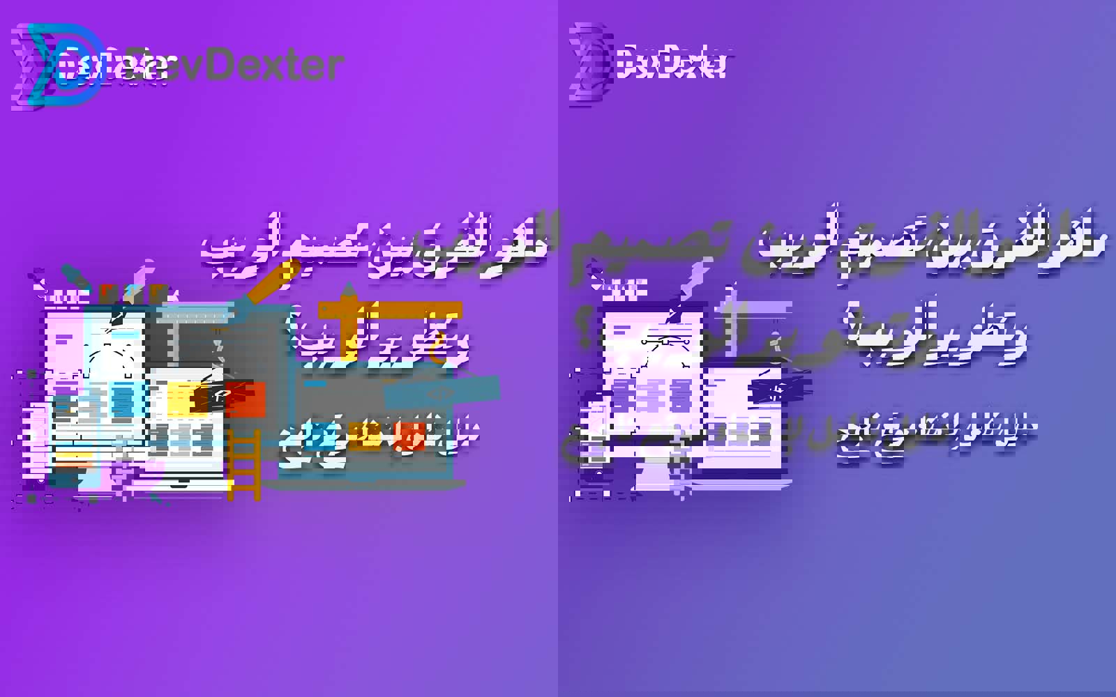 الفرق بین تصمیم الویب وتطویر الویب: دلیل شامل لإنشاء موقع ناجح